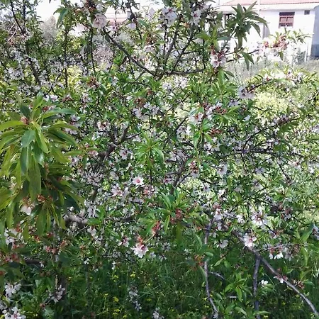 Bed & Breakfast Dei Giardini 3*